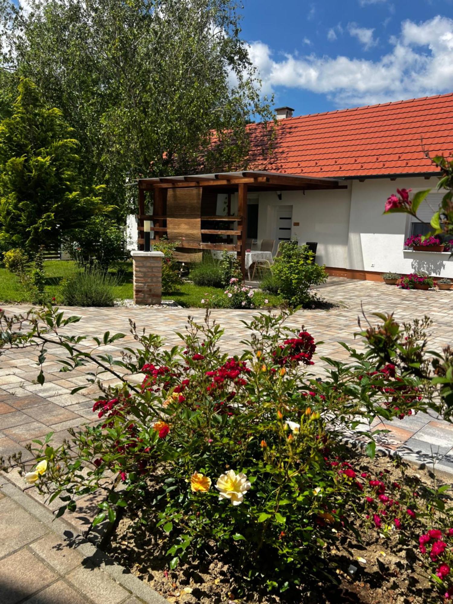Dreko Panzio & Borbisztro Bed & Breakfast Győrújbarát Екстериор снимка